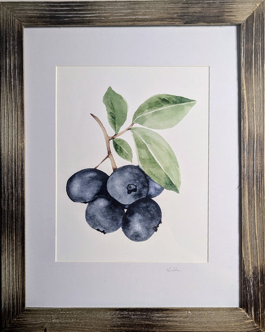 Antioxidants Fine Art Print
