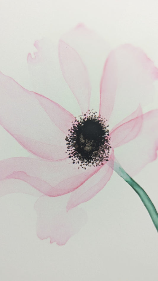 Transpire Fine Art Print